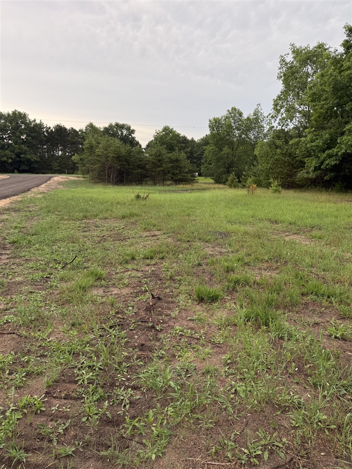 Sadie Ln Property Photo 10