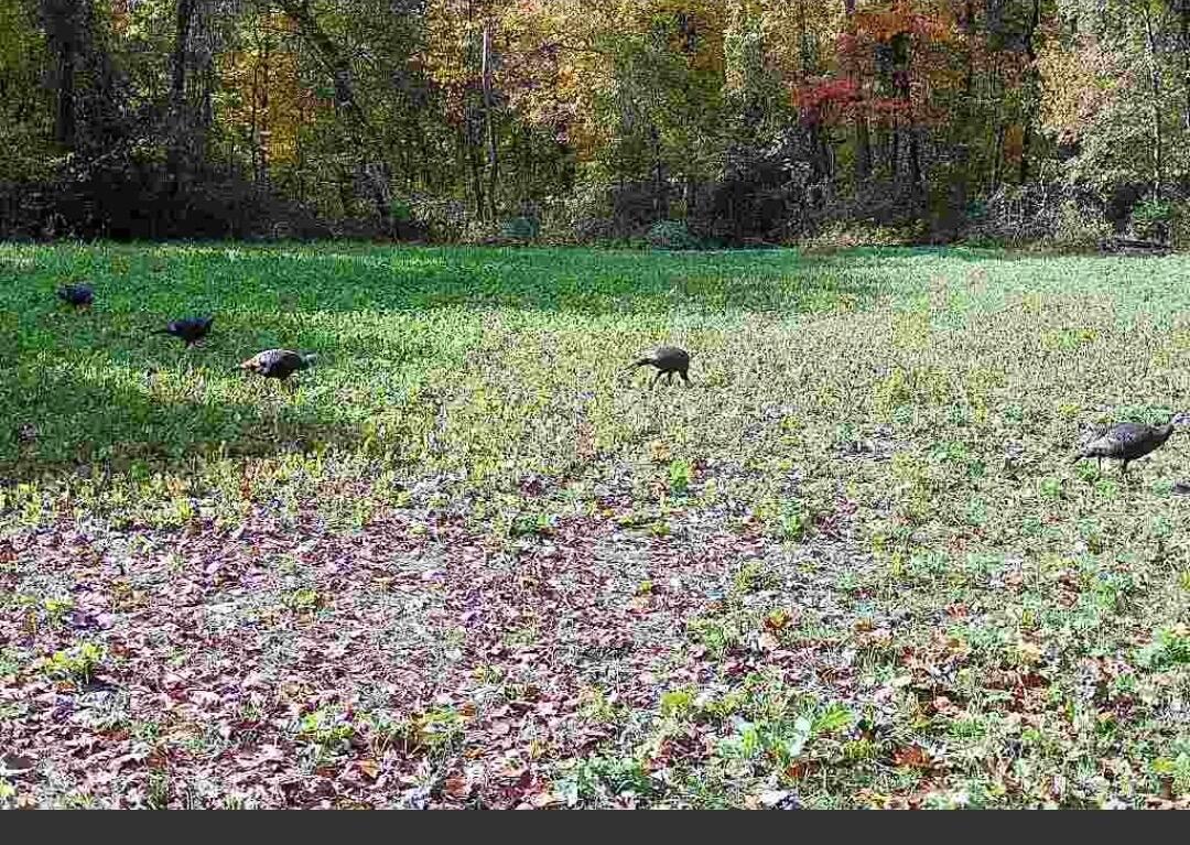15068 Millard Road Property Photo 37
