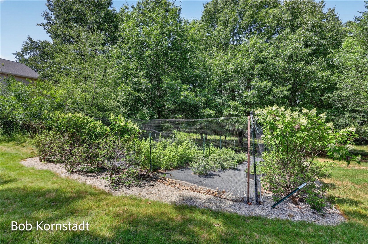 8059 Buttrick Ridge Trail Property Photo 59