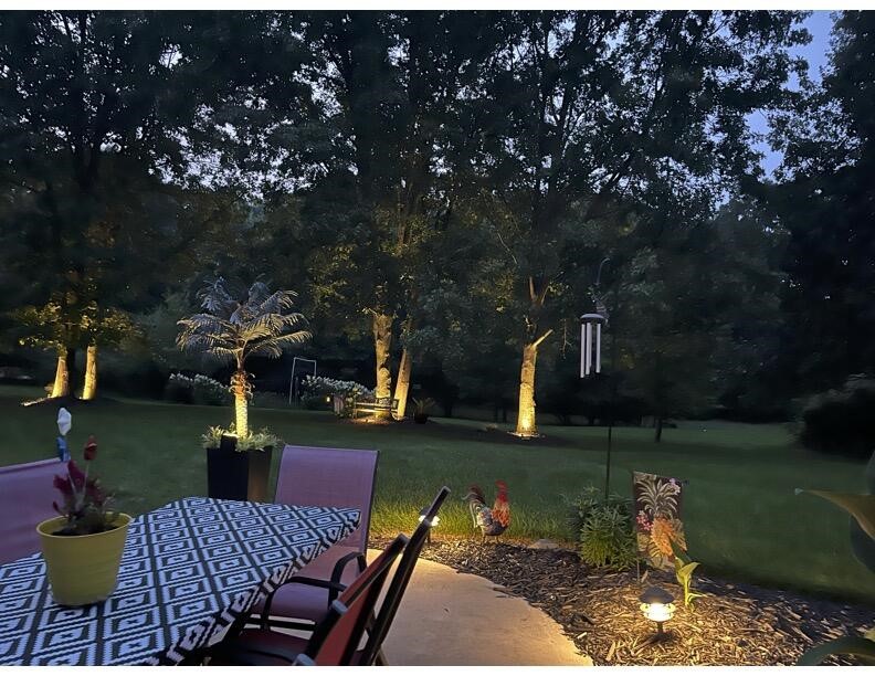 8059 Buttrick Ridge Trail Property Photo 73