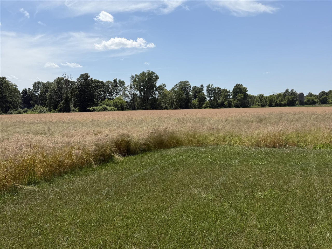 7565 Ormes Road Property Photo 23