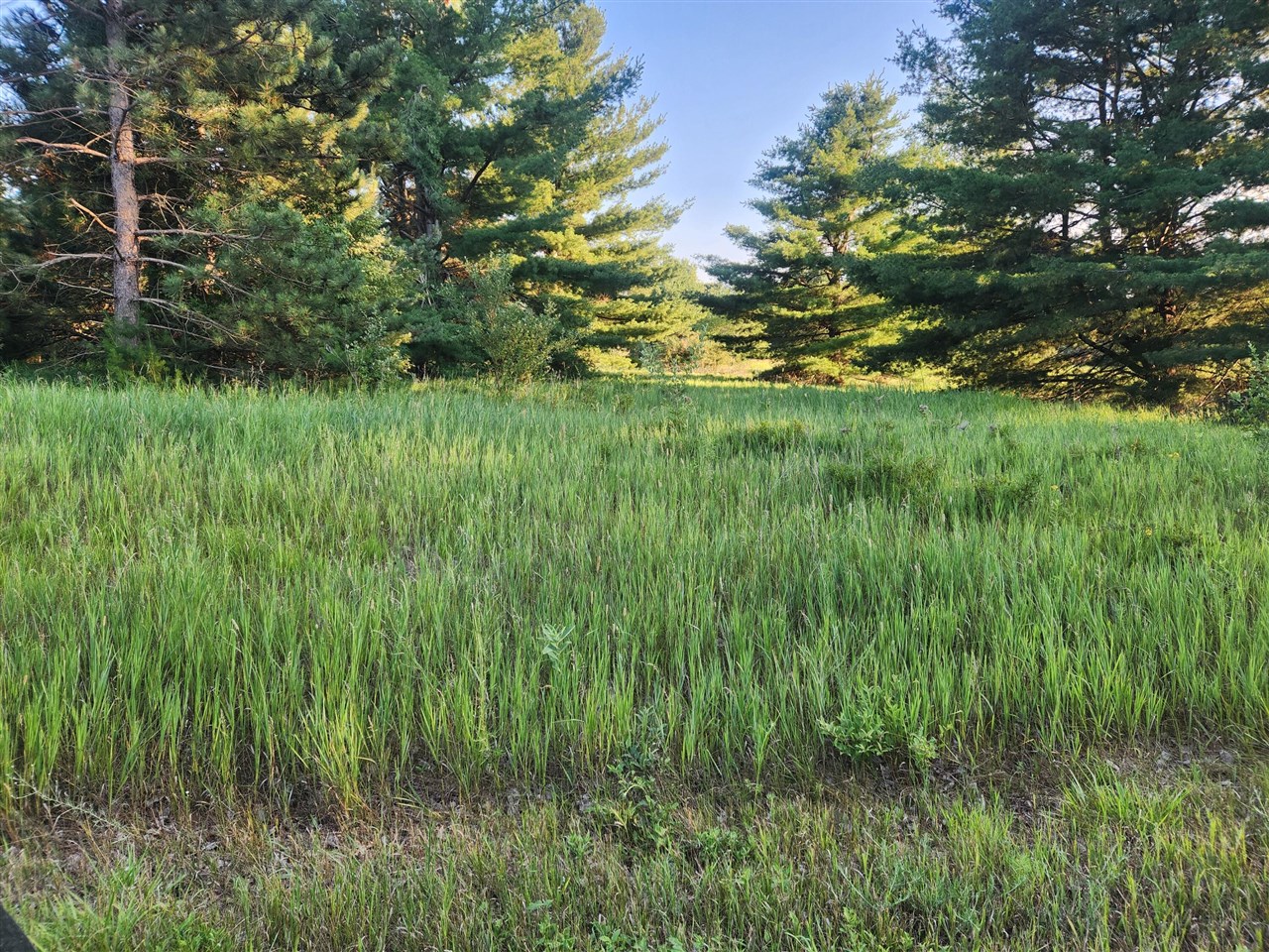 11535 Pierce Road Property Photo 1