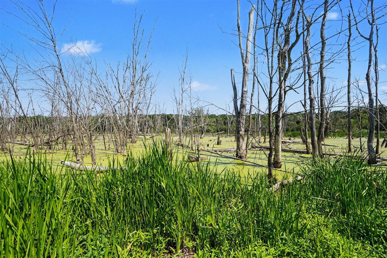 11645 W Bluewater Highway Property Photo 34