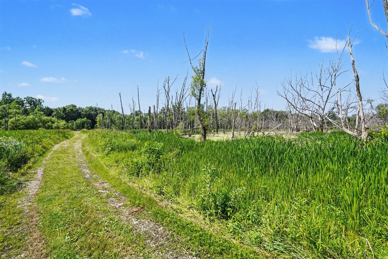 11645 W Bluewater Highway Property Photo 35