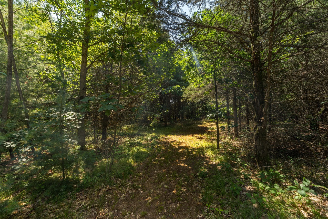 87 67th Street Property Photo 33