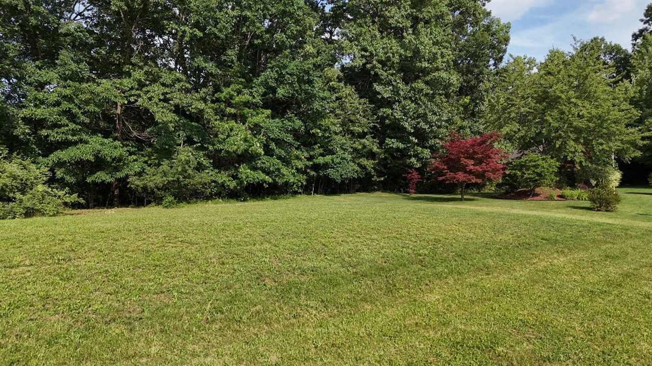 00 Scenic Hills Drive Property Photo 19
