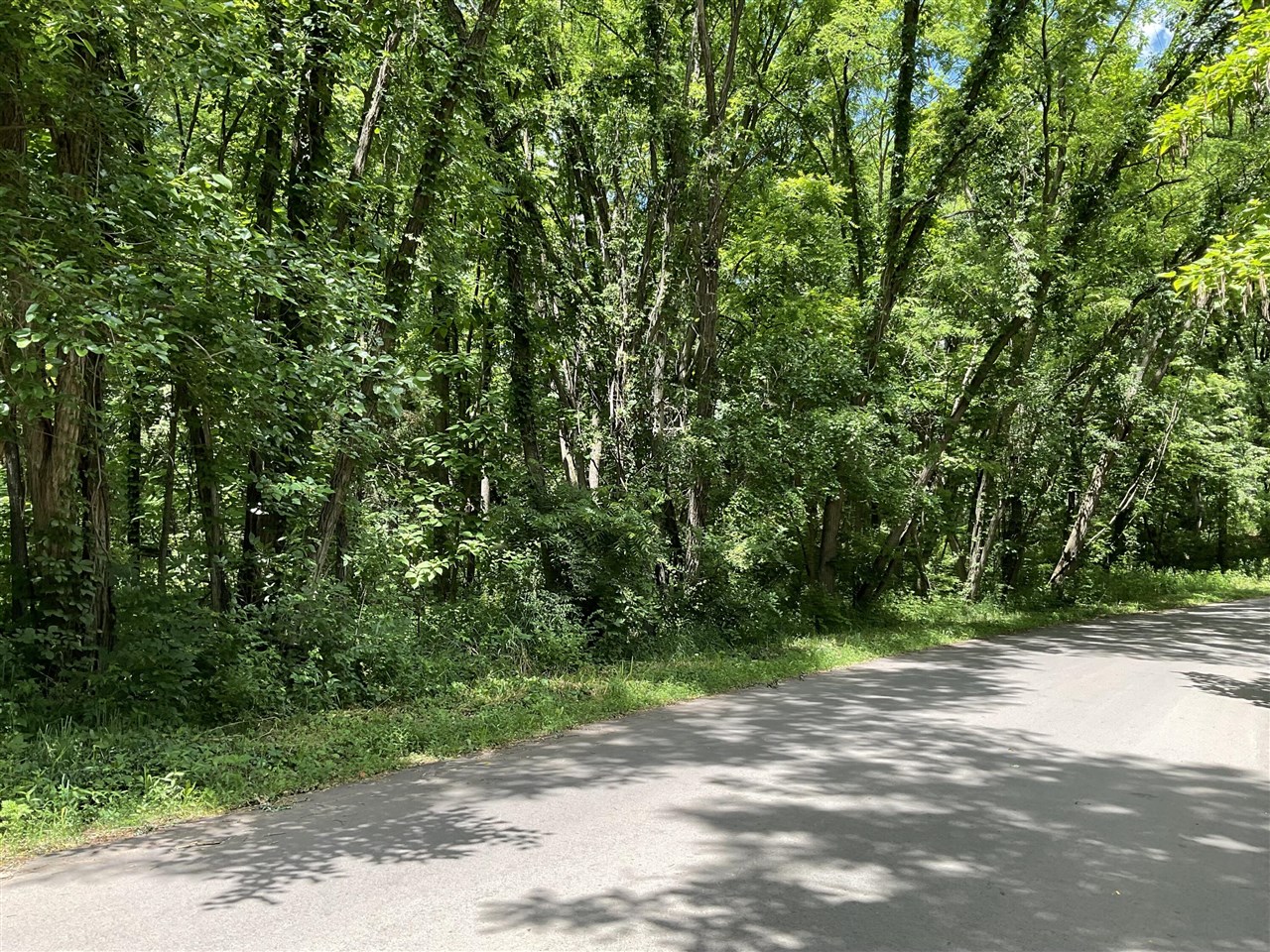 0 North Drive Property Photo 17