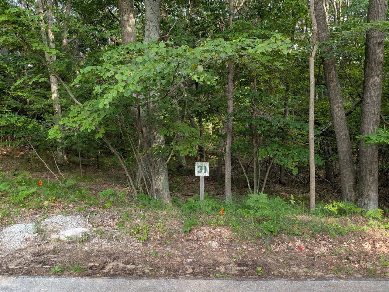 N Silver Ridge Road Property Photo 1
