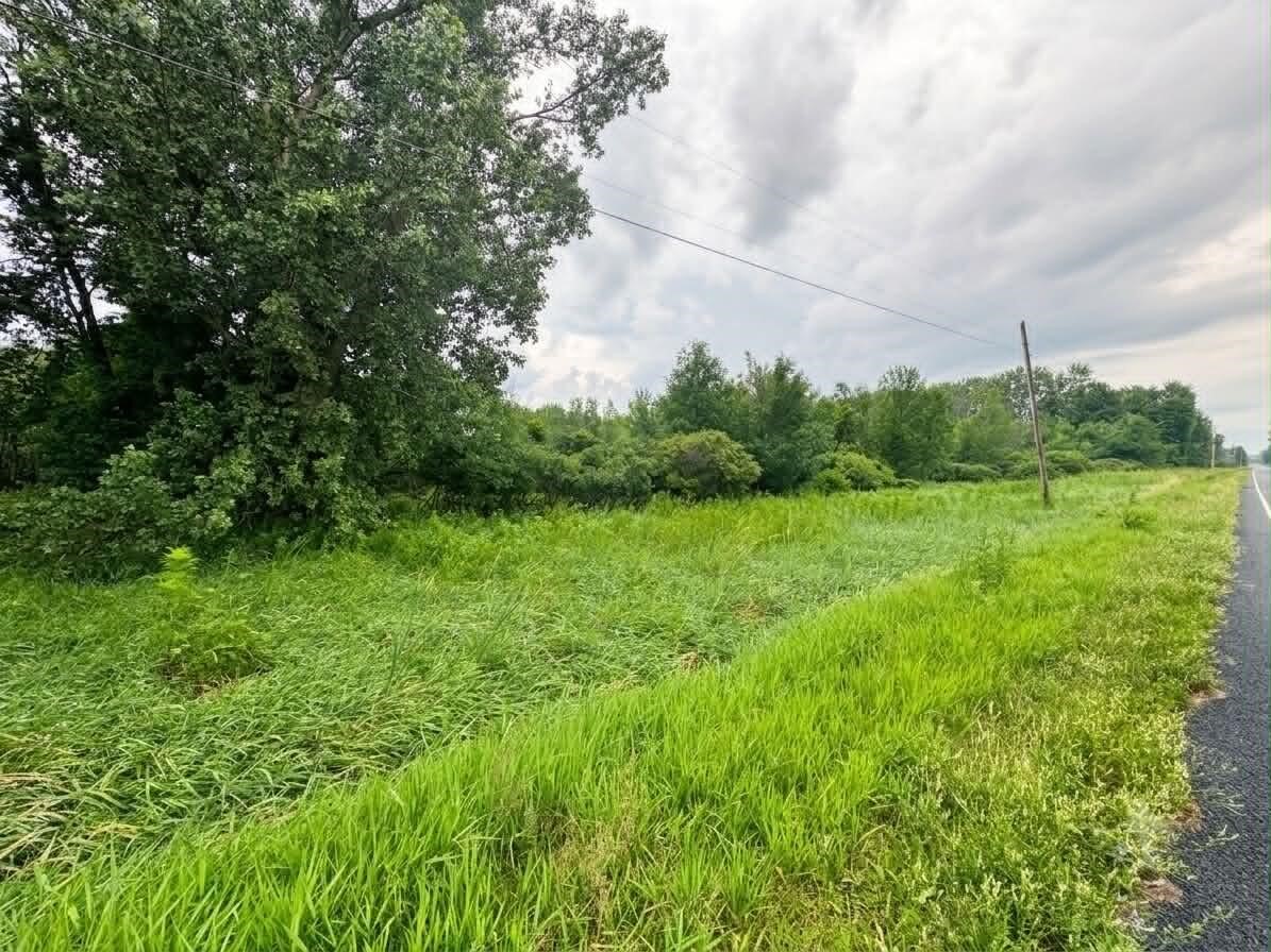 60196 County Road 376 Property Photo 3