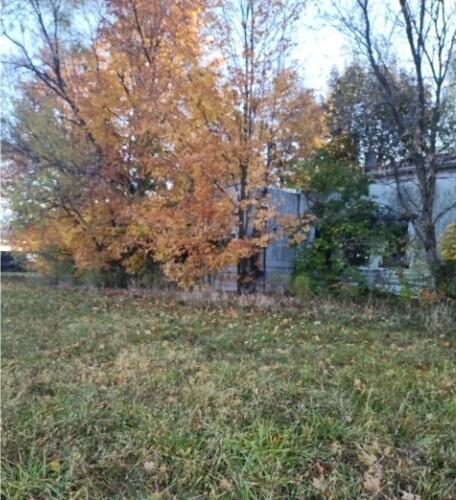 10044 8 Mile Road Property Photo 1