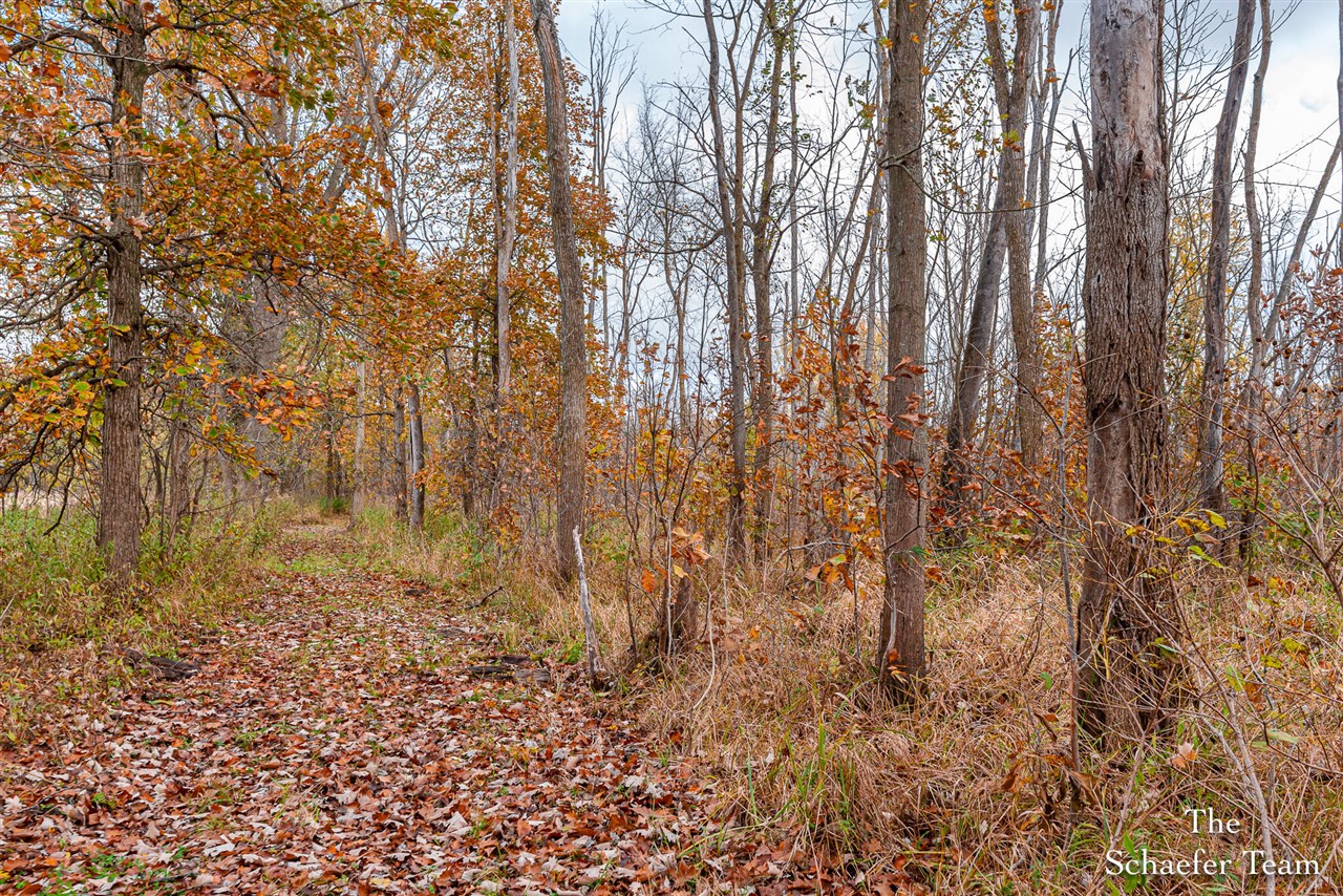 7758 Riverside Drive Property Photo 11