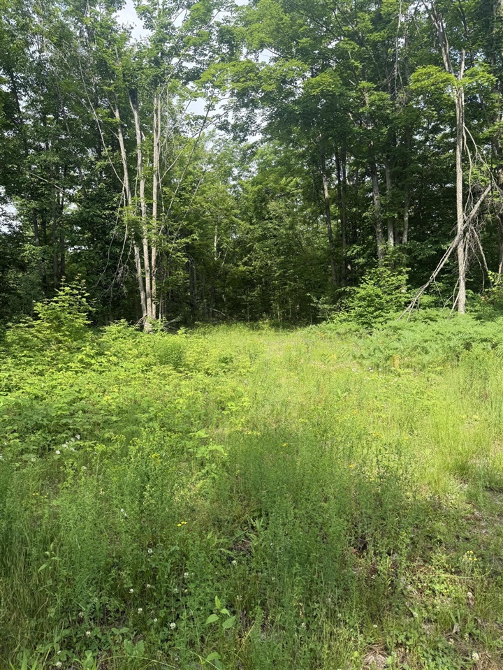00 Babbit Rd Property Photo 11