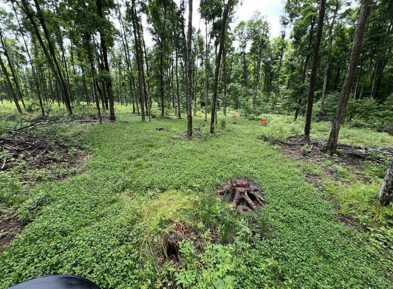 00 Babbit Rd Property Photo 18