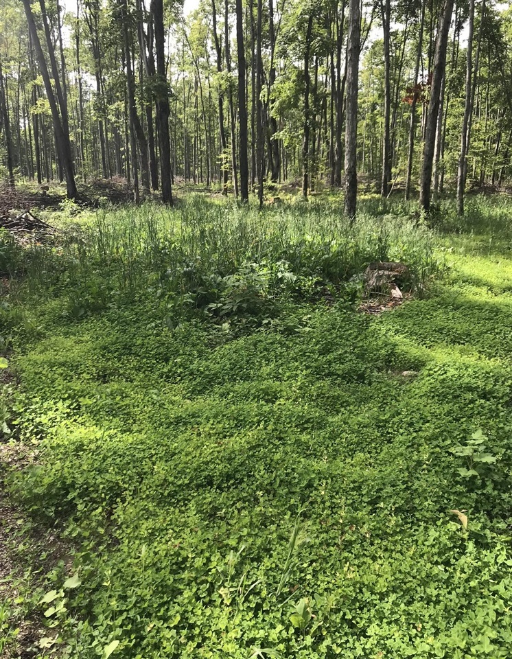 00 Babbit Rd Property Photo 19