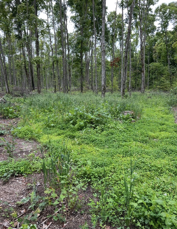 00 Babbit Rd Property Photo 20