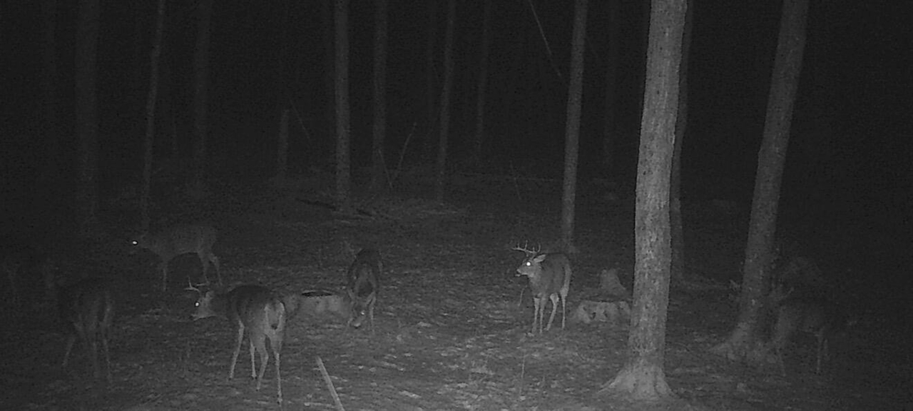 00 Babbit Rd Property Photo 33