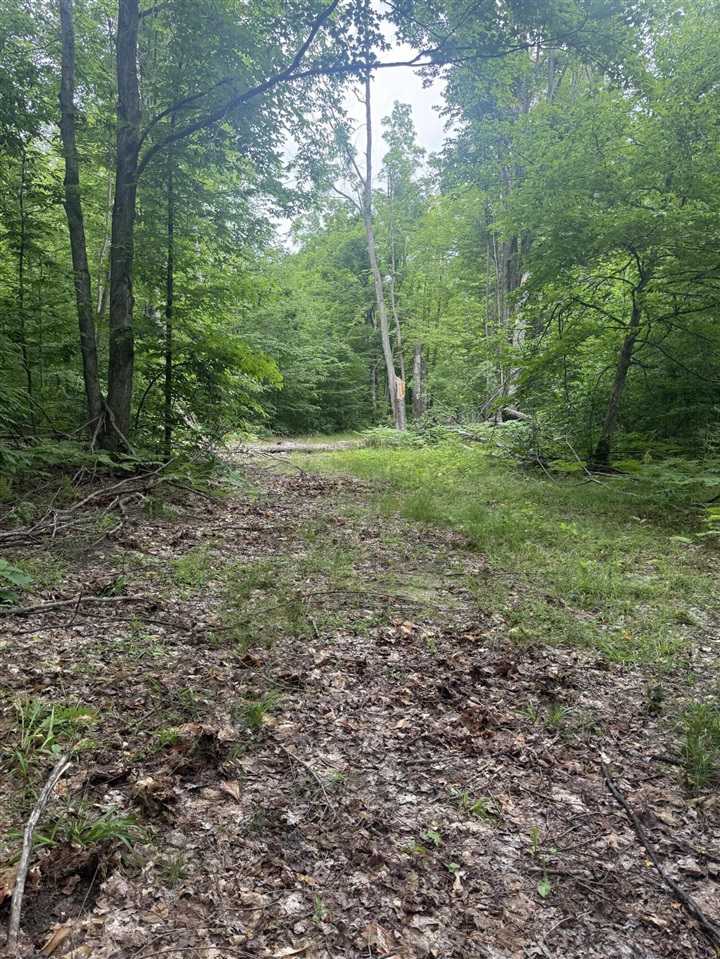 00 Babbit Rd Property Photo 37