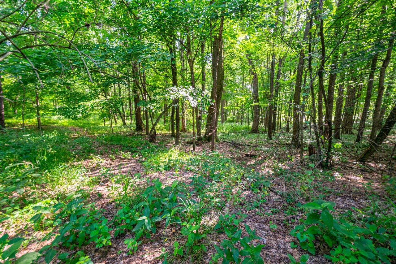 559 W Burr Oak Property Photo 7