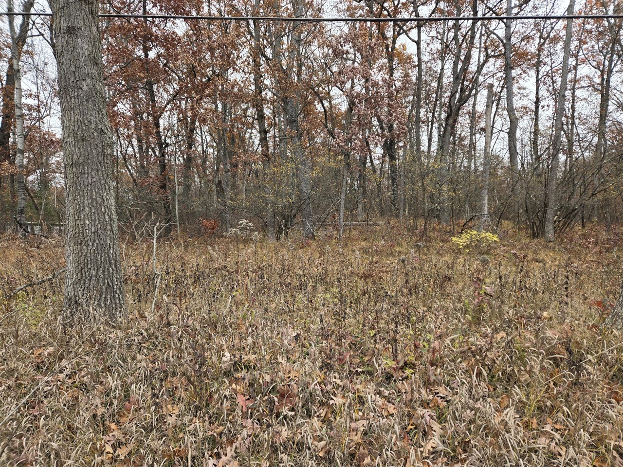 Woodbridge Property Photo 2