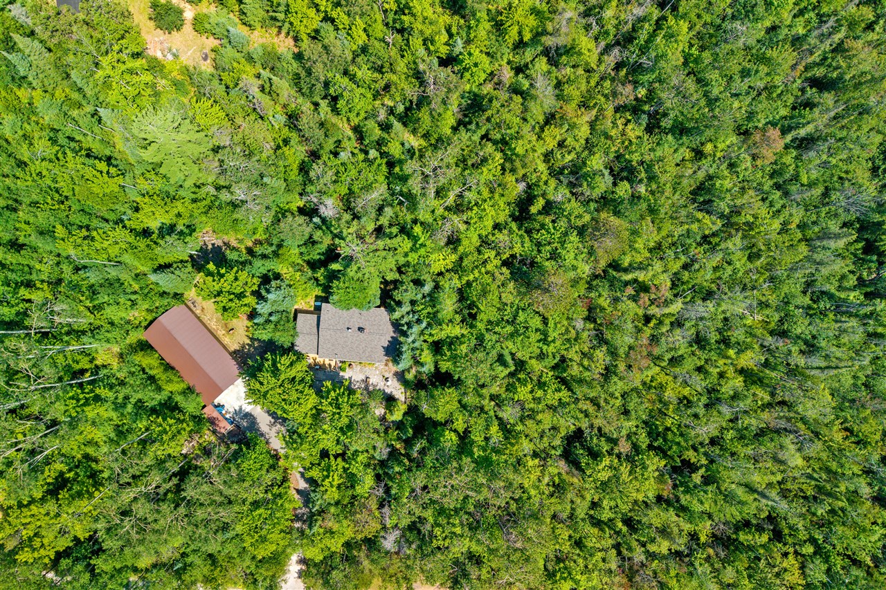 15355 Larry Road Property Photo 49