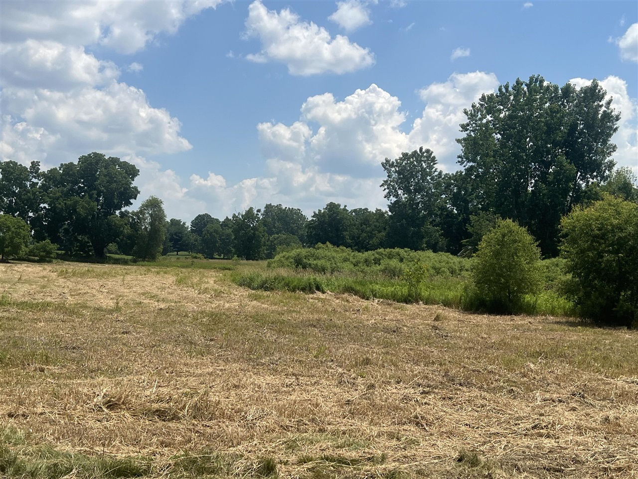 3985 Robert Lane Property Photo 1