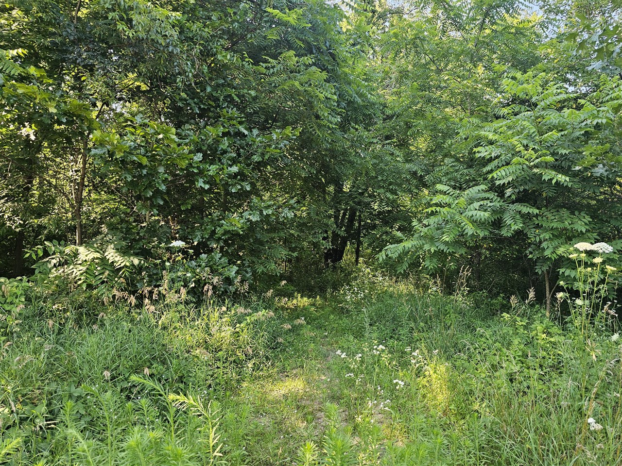 12671 Fort Custer Drive Property Photo 30