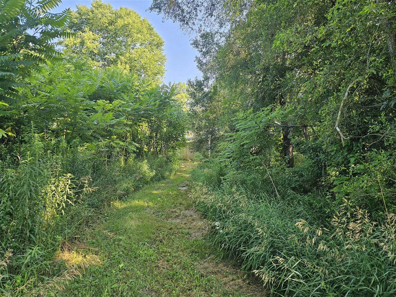 12671 Fort Custer Drive Property Photo 32