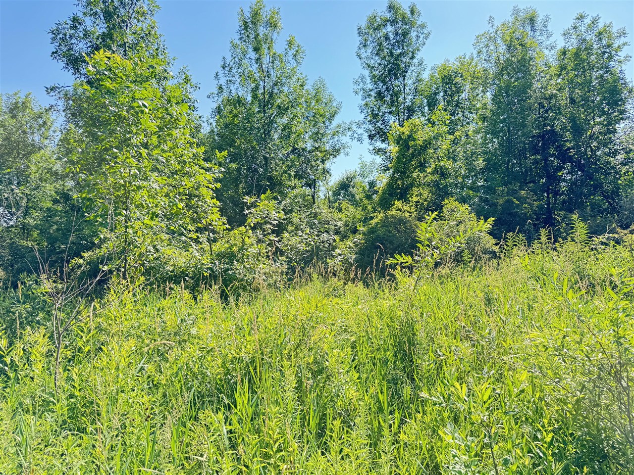 13513 100th Street Property Photo 3