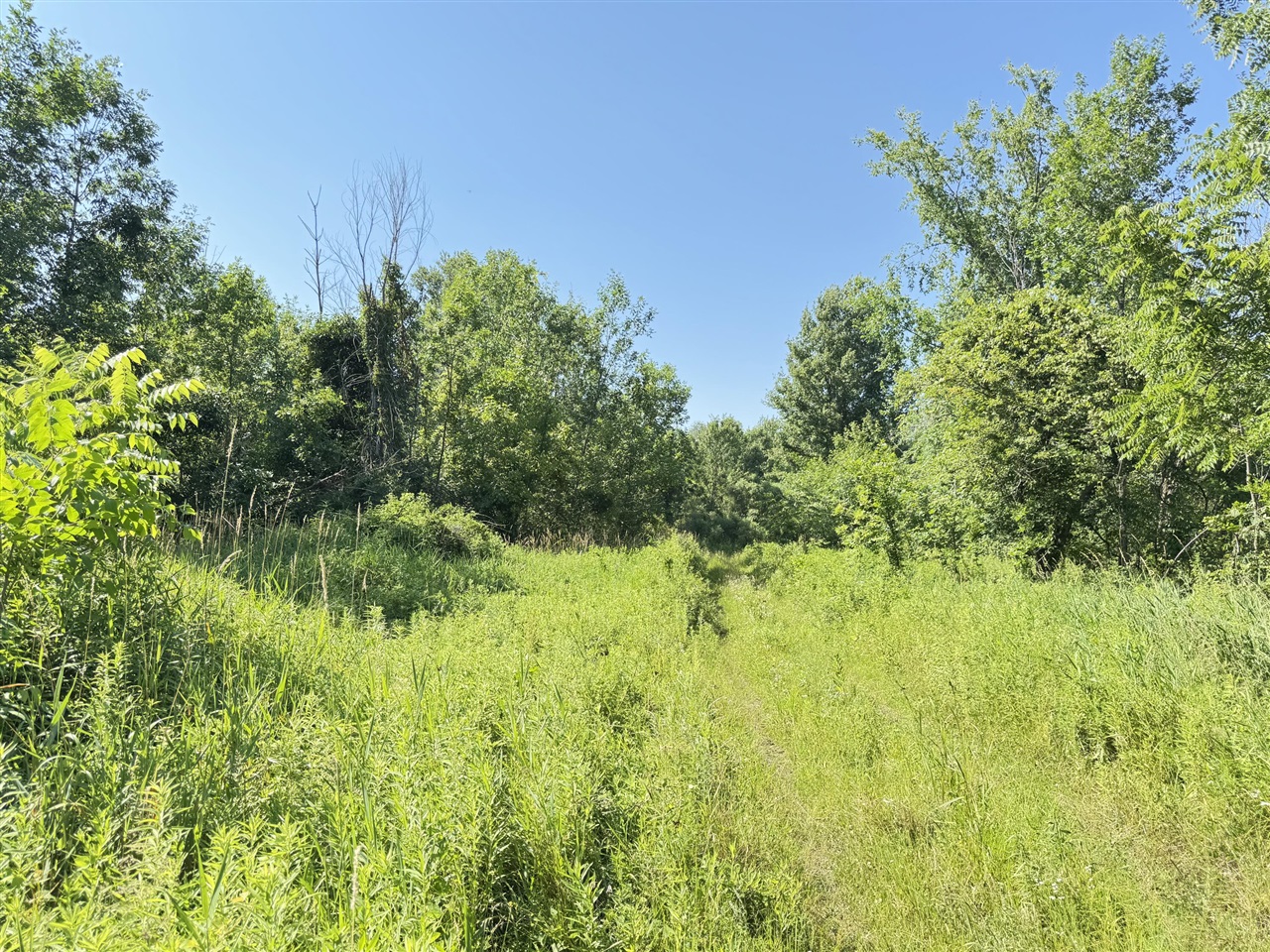 13513 100th Street Property Photo 4