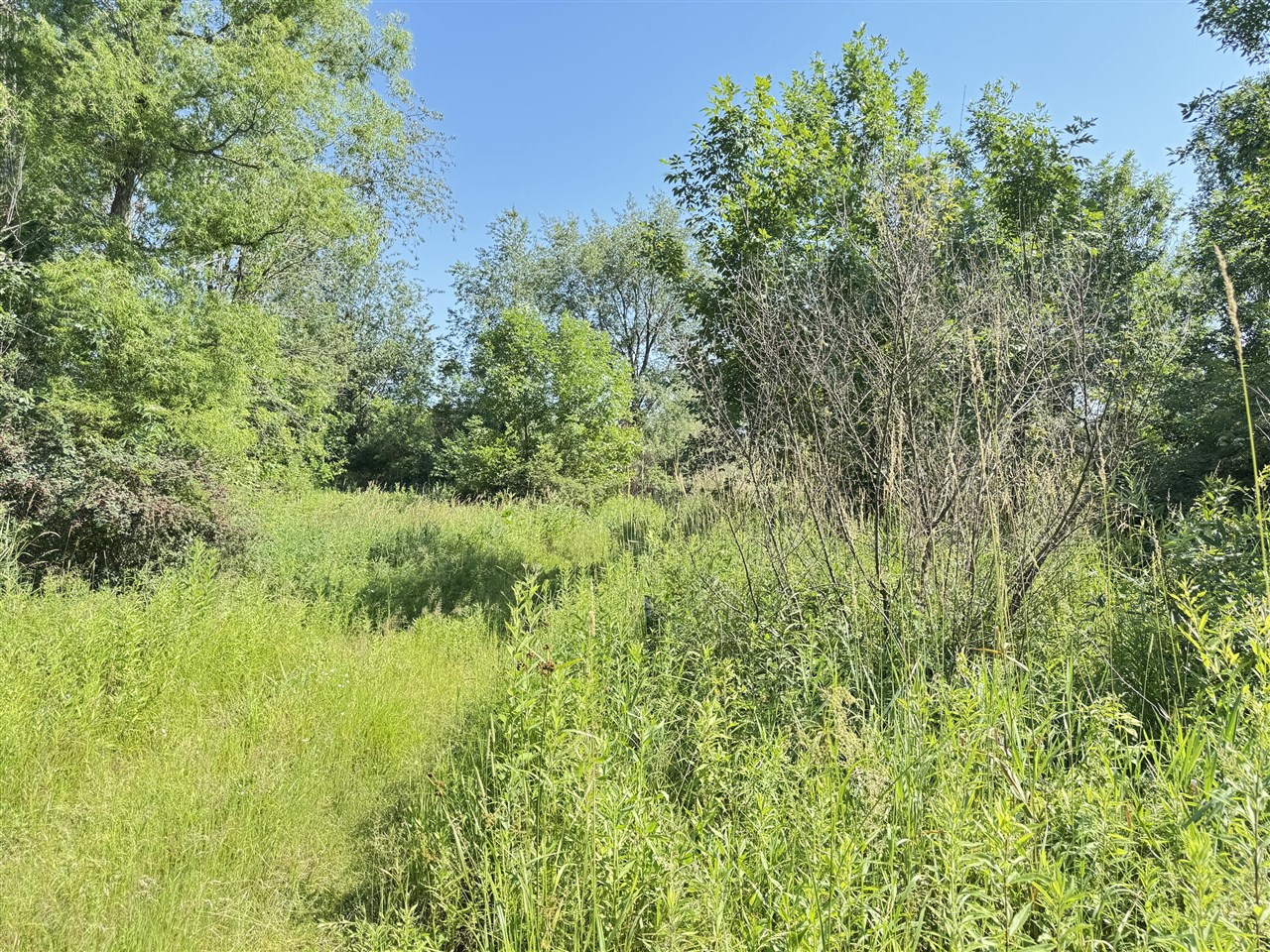 13513 100th Street Property Photo 6