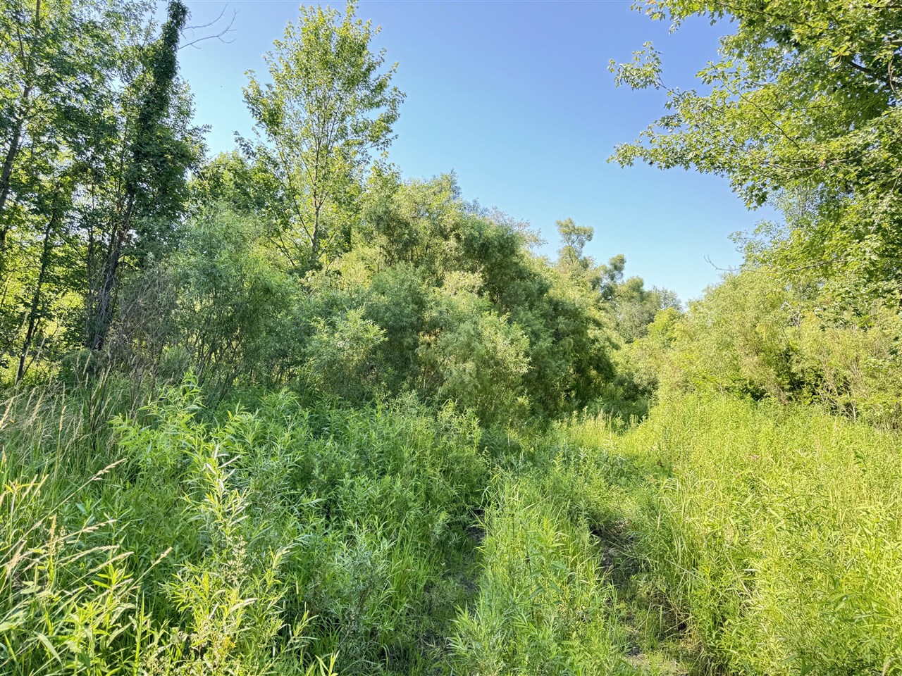 13513 100th Street Property Photo 7