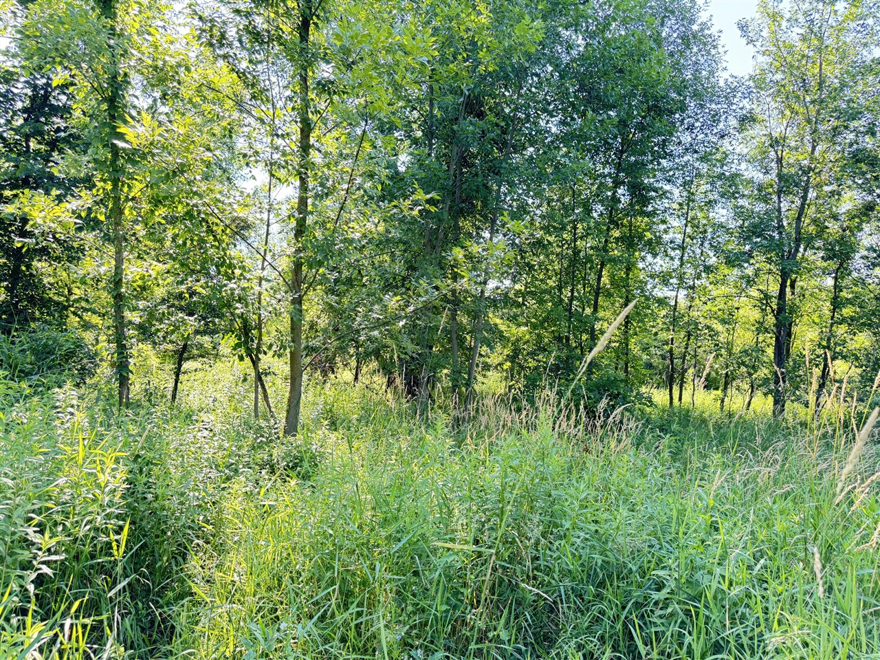 13513 100th Street Property Photo 8