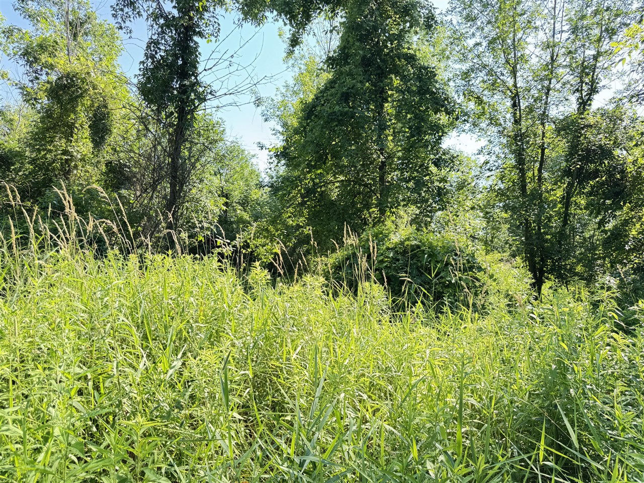 13513 100th Street Property Photo 9