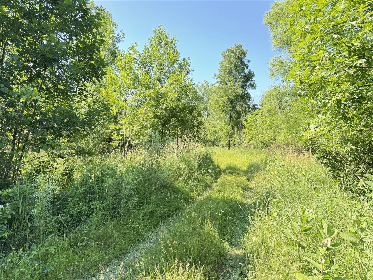 13513 100th Street Property Photo 10