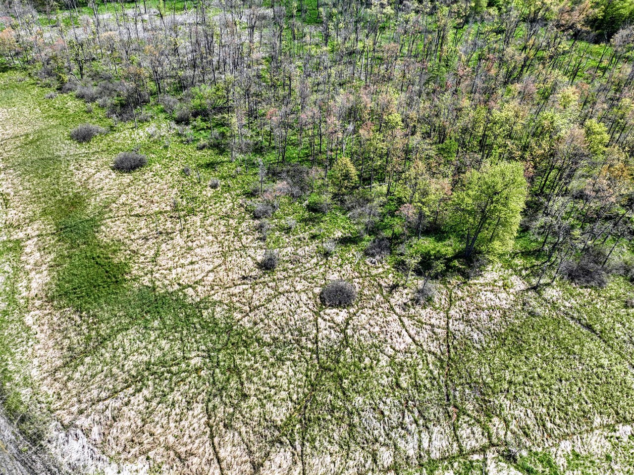 J Drive Property Photo 4