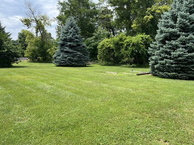 8777 Red Arrow Highway Property Photo 22