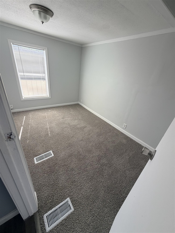 509 Spring Harbor Boulevard Property Photo 15