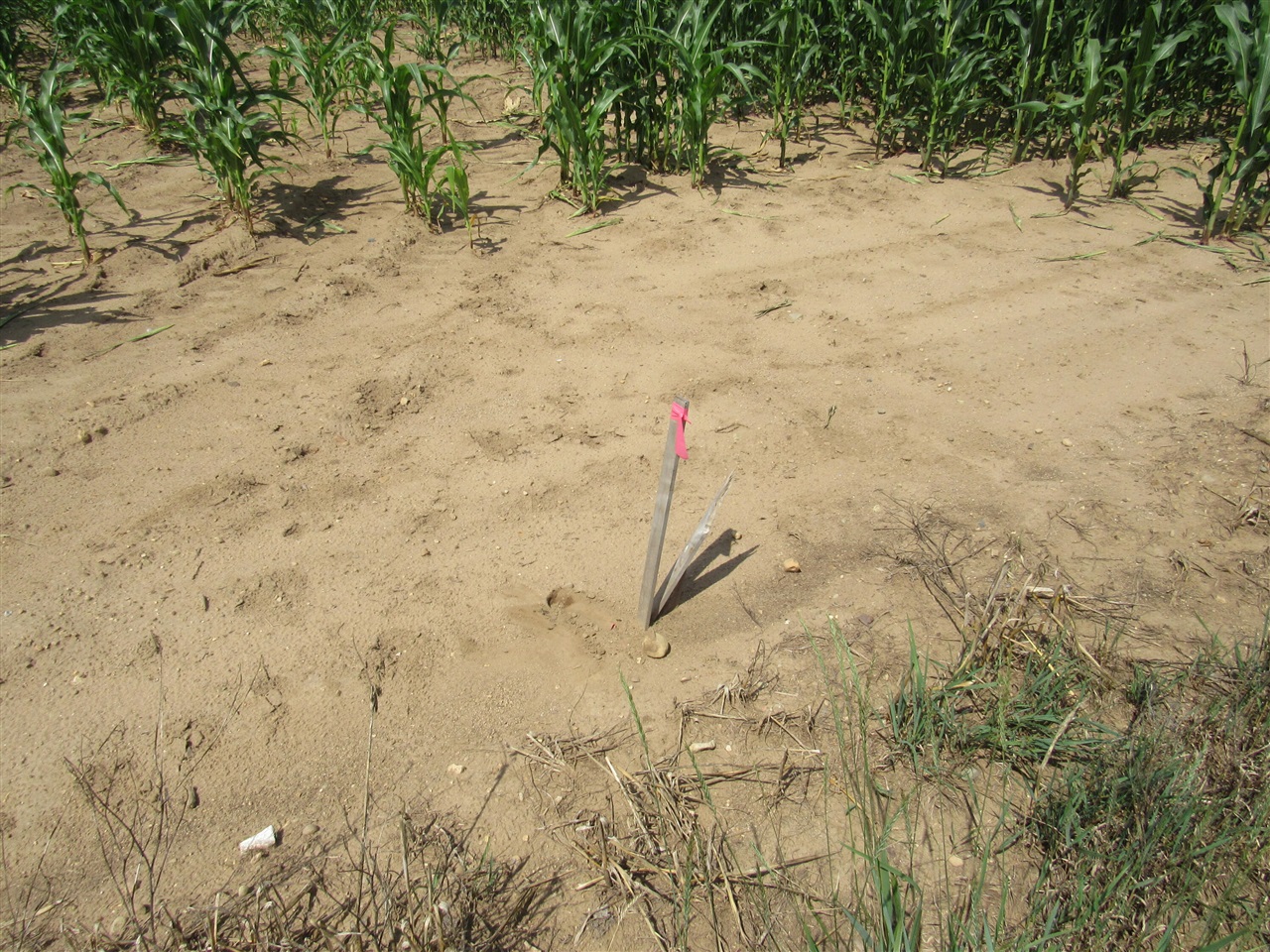 Farrand Road Property Photo 2
