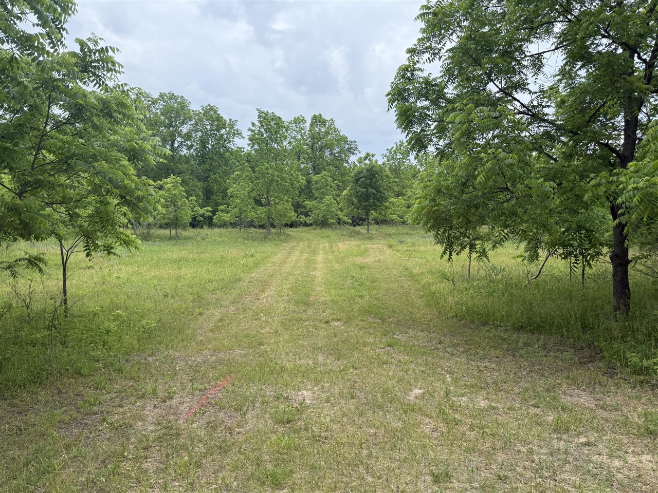 115 40th Street Property Photo 3