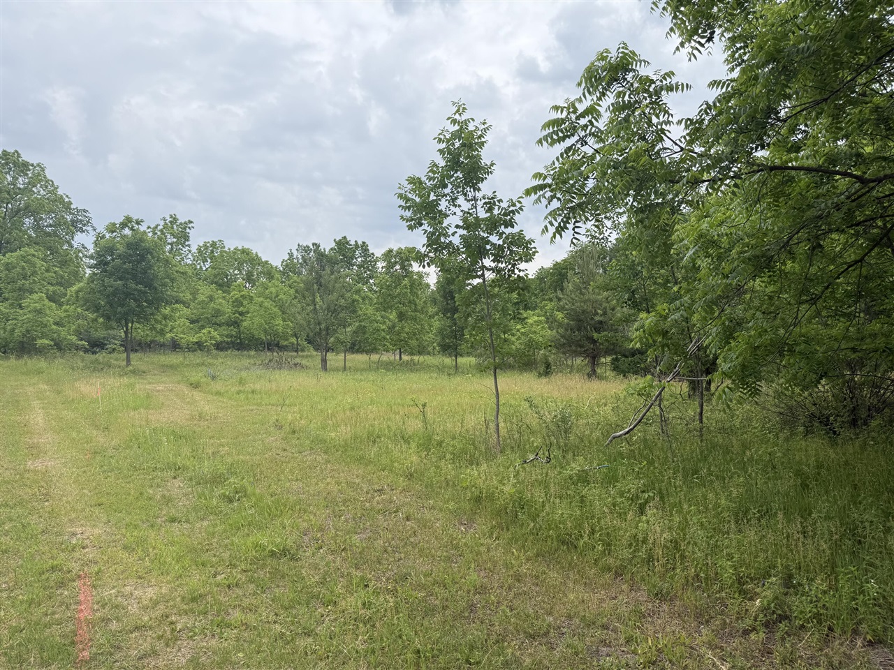 115 40th Street Property Photo 5