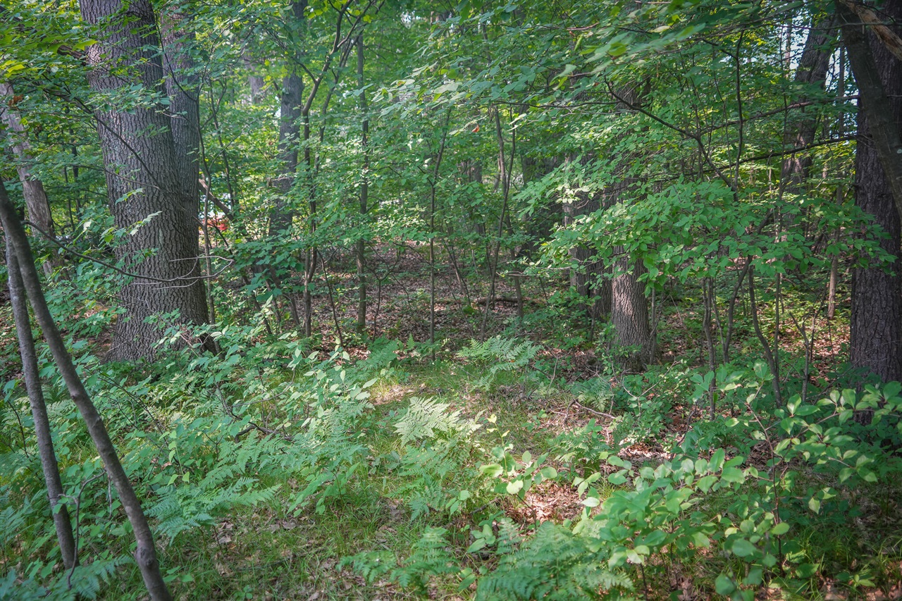 Colfax Park Road Property Photo 9