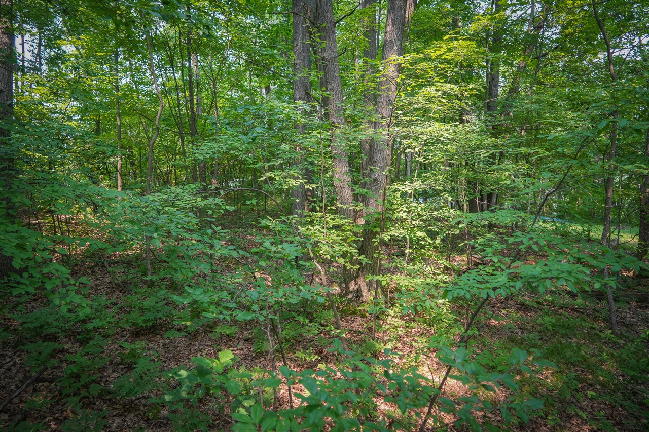 Colfax Park Road Property Photo 11