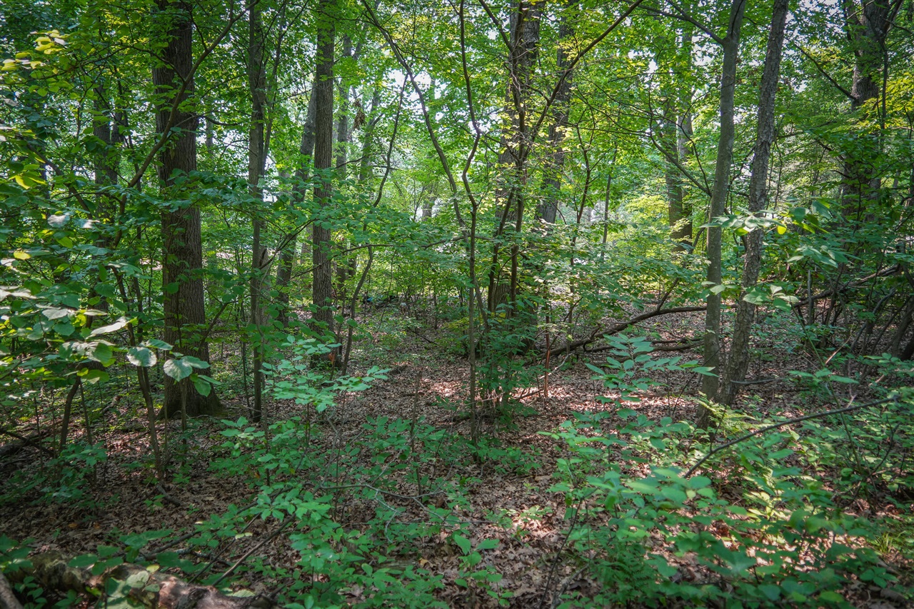 Colfax Park Road Property Photo 15