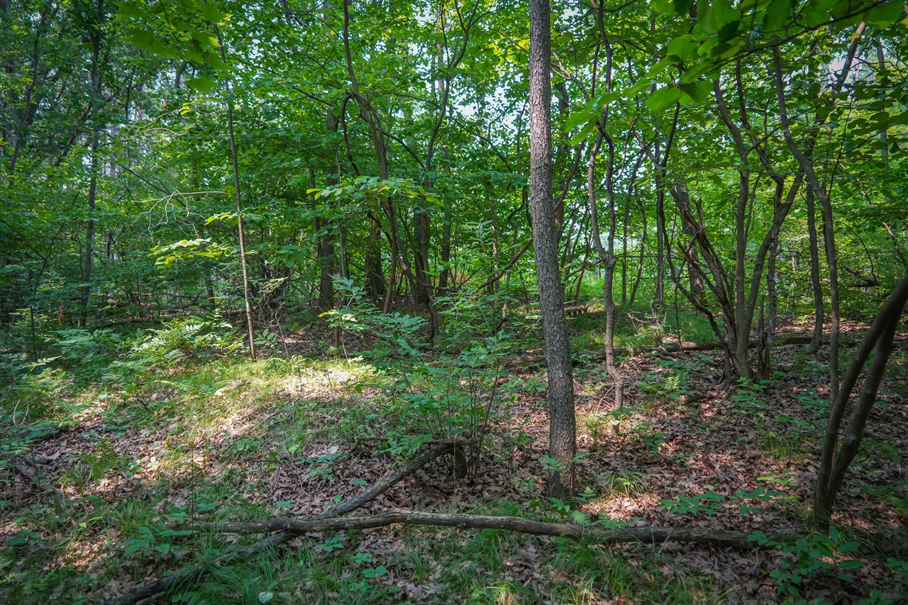 Colfax Park Road Property Photo 17
