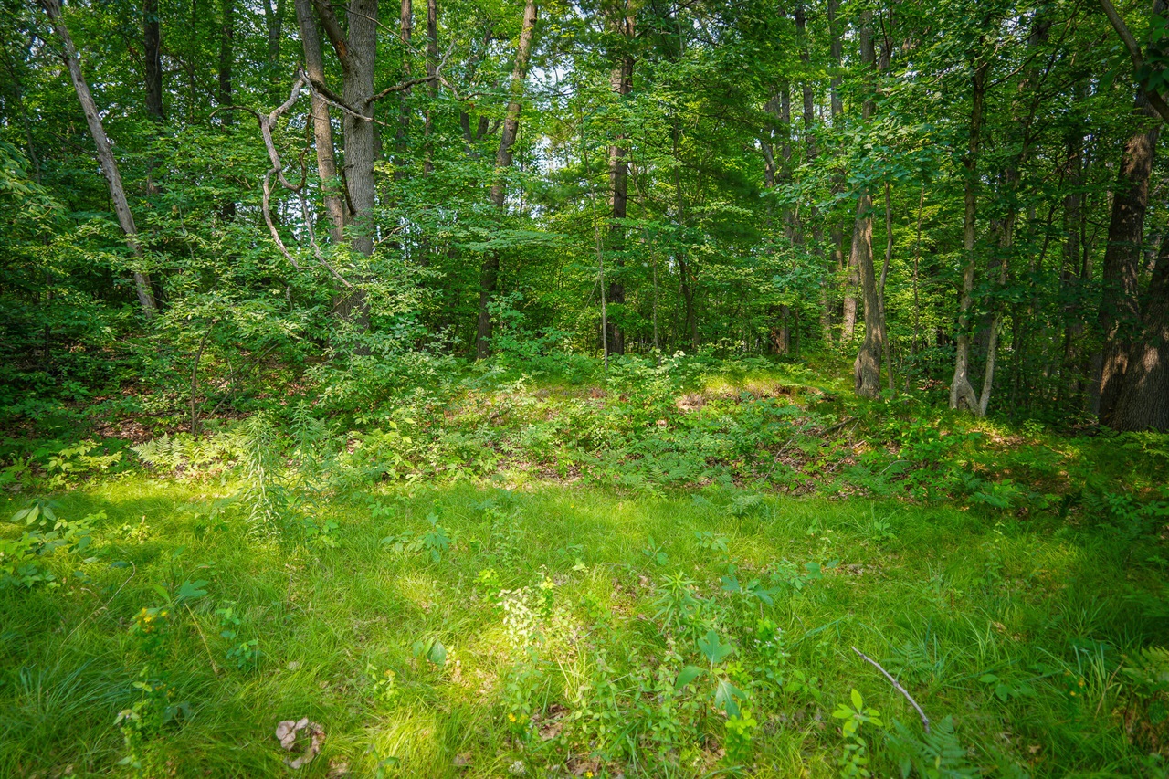 Colfax Park Road Property Photo 20