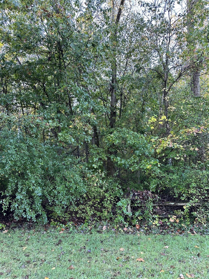 1544 Echo Valley Drive Property Photo 4