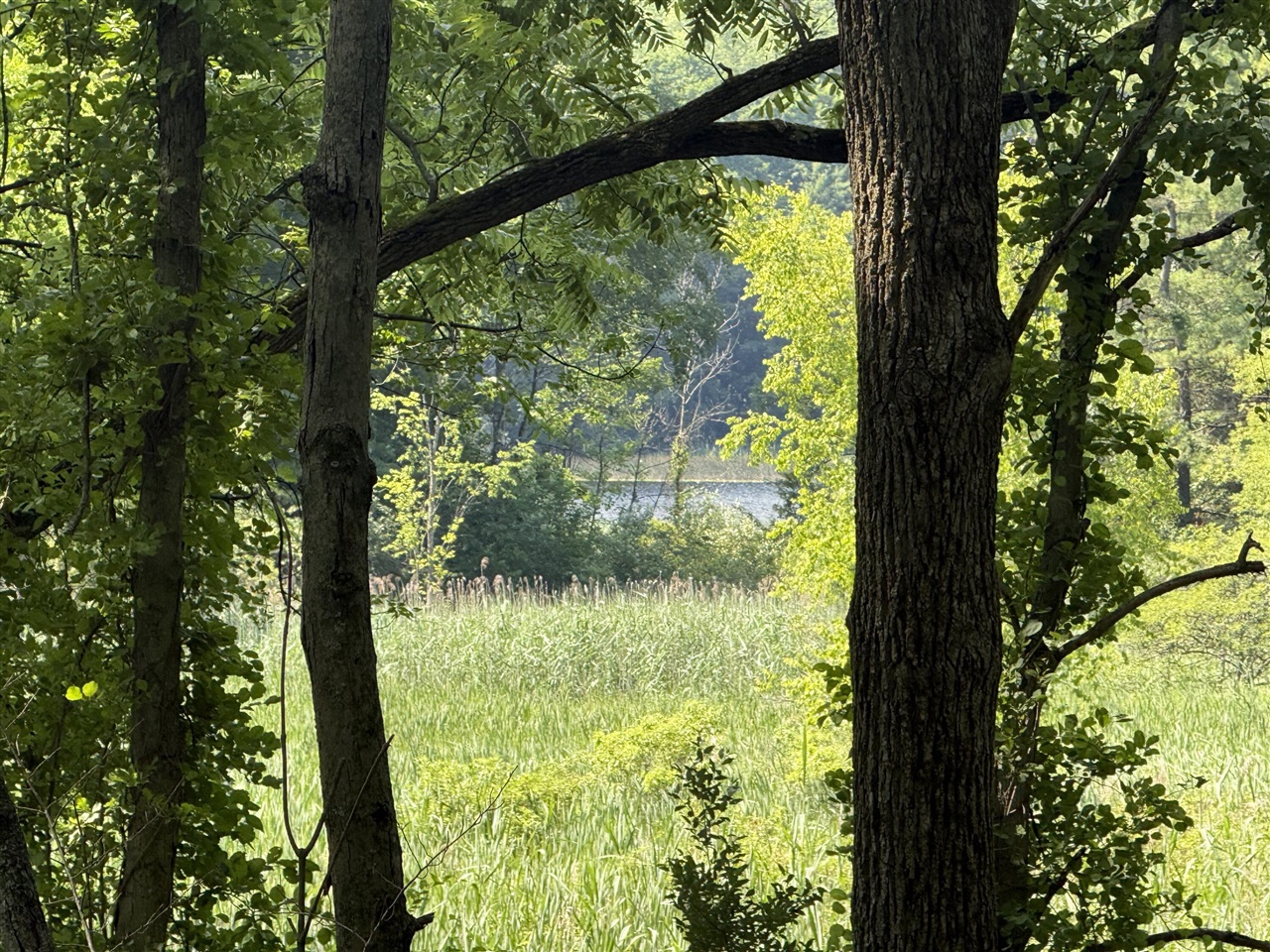 00 Lasher Road Property Photo 4