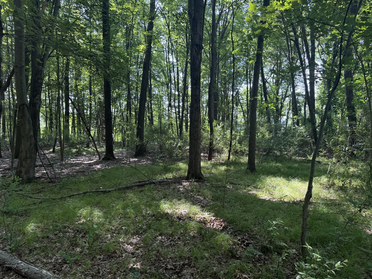 00 Lasher Road Property Photo 16