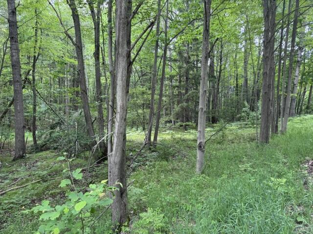 142 Hills Circle Property Photo 1
