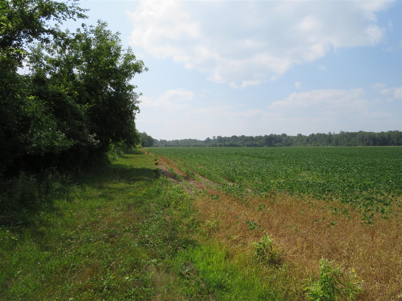 Ne County Line Road Property Photo 3